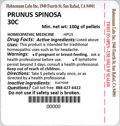 Prunus Spinosa 30C 100g.jpg Prunus Spinosa 30C 100g - Prunus Spinosa 30C 100g